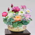 Sementes de Lótus Premium Trevoni: A Flor de Lótus da Tigela Sagrada de Bonsai + BRINDE HOJE